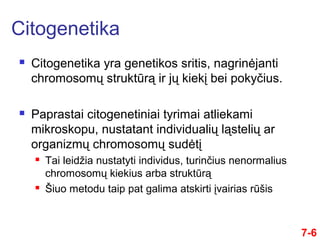  Citogenetika yra genetikos sritis, nagrinėjanti
chromosomų struktūrą ir jų kiekį bei pokyčius.
 Paprastai citogenetiniai tyrimai atliekami
mikroskopu, nustatant individualių ląstelių ar
organizmų chromosomų sudėtį
 Tai leidžia nustatyti individus, turinčius nenormalius
chromosomų kiekius arba struktūrą
 Šiuo metodu taip pat galima atskirti įvairias rūšis
7-6
Citogenetika
 