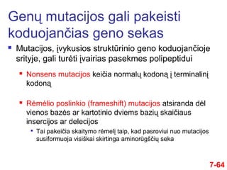  Mutacijos, įvykusios struktūrinio geno koduojančioje
srityje, gali turėti įvairias pasekmes polipeptidui
Genų mutacijos gali pakeisti
koduojančias geno sekas
7-64
 Nonsens mutacijos keičia normalų kodoną į terminalinį
kodoną
 Rėmėlio poslinkio (frameshift) mutacijos atsiranda dėl
vienos bazės ar kartotinio dviems bazių skaičiaus
insercijos ar delecijos

Tai pakeičia skaitymo rėmelį taip, kad pasroviui nuo mutacijos
susiformuoja visiškai skirtinga aminorūgščių seka
 