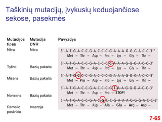 7-65
Taškinių mutacijų, įvykusių koduojančiose
sekose, pasekmės
Mutacijos
tipas
Mutacija
DNR
Pavyzdys
Nėra
Tylinti
Misens
Nonsens
Rėmelio
poslinkio
Nėra
Bazių pakaita
Bazių pakaita
Bazių pakaita
Insercija
 