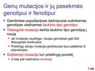  Gamtinėse populiacijose dažniausiai sutinkamas
genotipas vadinamas laukinio tipo genotipu
 Tiesioginė mutacija keičia laukinio tipo genotipą į
naują
 Jei mutacija naudinga, naujas genotipas gali būti
išsaugotas evoliucijos
 Priešingu atveju mutacija greičiausiai bus pašalinta iš
populiacijos
 Grįžtamoji mutacija turi priešingą poveikį
 Ji taip pat vadinama reversija
Genų mutacijos ir jų pasekmės
genotipui ir fenotipui
7-66
 