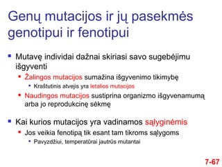  Mutavę individai dažnai skiriasi savo sugebėjimu
išgyventi
 Žalingos mutacijos sumažina išgyvenimo tikimybę

Kraštutinis atvejis yra letalios mutacijos
 Naudingos mutacijos sustiprina organizmo išgyvenamumą
arba jo reprodukcinę sėkmę
 Kai kurios mutacijos yra vadinamos sąlyginėmis
 Jos veikia fenotipą tik esant tam tikroms sąlygoms
 Pavyzdžiui, temperatūrai jautrūs mutantai
7-67
Genų mutacijos ir jų pasekmės
genotipui ir fenotipui
 