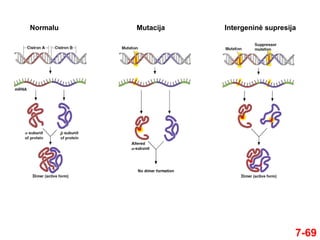7-69
Normalu Mutacija Intergeninė supresija
 