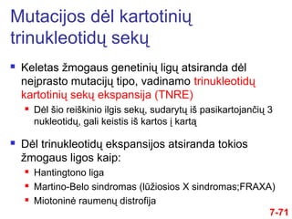  Keletas žmogaus genetinių ligų atsiranda dėl
neįprasto mutacijų tipo, vadinamo trinukleotidų
kartotinių sekų ekspansija (TNRE)
 Dėl šio reiškinio ilgis sekų, sudarytų iš pasikartojančių 3
nukleotidų, gali keistis iš kartos į kartą
 Dėl trinukleotidų ekspansijos atsiranda tokios
žmogaus ligos kaip:
 Hantingtono liga
 Martino-Belo sindromas (lūžiosios X sindromas;FRAXA)
 Miotoninė raumenų distrofija
Mutacijos dėl kartotinių
trinukleotidų sekų
7-71
 