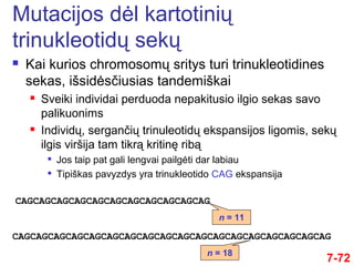 Kai kurios chromosomų sritys turi trinukleotidines
sekas, išsidėsčiusias tandemiškai
 Sveiki individai perduoda nepakitusio ilgio sekas savo
palikuonims
 Individų, sergančių trinuleotidų ekspansijos ligomis, sekų
ilgis viršija tam tikrą kritinę ribą

Jos taip pat gali lengvai pailgėti dar labiau

Tipiškas pavyzdys yra trinukleotido CAG ekspansija
7-72
CAGCAGCAGCAGCAGCAGCAGCAGCAGCAGCAG
CAGCAGCAGCAGCAGCAGCAGCAGCAGCAGCAGCAGCAGCAGCAGCAGCAGCAG
n = 11
n = 18
Mutacijos dėl kartotinių
trinukleotidų sekų
 