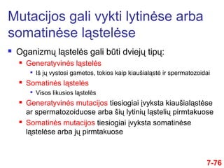  Oganizmų ląstelės gali būti dviejų tipų:
 Generatyvinės ląstelės

Iš jų vystosi gametos, tokios kaip kiaušialąstė ir spermatozoidai
 Somatinės ląstelės

Visos likusios ląstelės
 Generatyvinės mutacijos tiesiogiai įvyksta kiaušialąstėse
ar spermatozoiduose arba šių lytinių ląstelių pirmtakuose
 Somatinės mutacijos tiesiogiai įvyksta somatinėse
ląstelėse arba jų pirmtakuose
Mutacijos gali vykti lytinėse arba
somatinėse ląstelėse
7-76
 