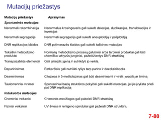 Mutacijų priežastys
7-80
Mutacijų priežastys Aprašymas
Spontaninės mutacijos
Nenormali rekombinacija Nenormalus krosingoveris gali sukelti delecijas, duplikacijas, translokacijas ir
inversijas
Nenormali segregacija Nenormali segregacija gali sukelti aneuploidiją ir poliploidiją
DNR replikacijos klaidos DNR polimerazės klaidos gali sukelti taškines mutacijas
Toksiški metabolizmo
produktai
Normalių metabolizmo procesų galutiniai arba tarpiniai produktai gali būti
chemiškai aktyvūs junginiai, pažeidžiantys DNR struktūrą
Transpozabilūs elementai Gali įsiterpti į geną ir sutrikdyti jo veiklą
Depurininimas Retkarčiais gali nutrūkti ryšys tarp purino ir dezoksiribozės
Deamininimas Citozinas ir 5-metilcitozinas gali būti deamininami ir virsti į uracilą ar timiną
Tautomeriniai virsmai Spontaniniai bazių struktūros pokyčiai gali sukelti mutacijas, jei jie įvyksta prieš
pat DNR replikaciją
Indukuotos mutacijos
Cheminiai veiksniai Cheminės medžiagos gali pakeisti DNR struktūrą
Fiziniai veiksniai UV šviesa ir rentgeno spinduliai gali pažeisti DNR struktūrą
 