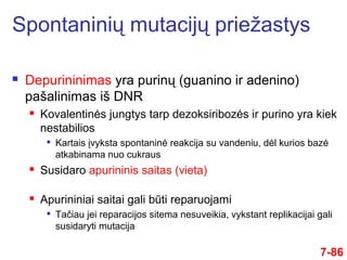  Depurininimas yra purinų (guanino ir adenino)
pašalinimas iš DNR
 Kovalentinės jungtys tarp dezoksiribozės ir purino yra kiek
nestabilios

Kartais įvyksta spontaninė reakcija su vandeniu, dėl kurios bazė
atkabinama nuo cukraus
 Susidaro apurininis saitas (vieta)
 Apurininiai saitai gali būti reparuojami

Tačiau jei reparacijos sitema nesuveikia, vykstant replikacijai gali
susidaryti mutacija
7-86
Spontaninių mutacijų priežastys
 