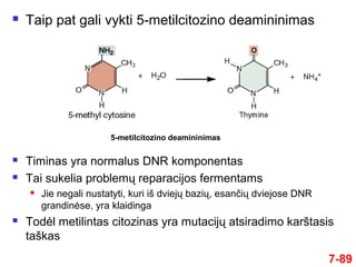  Taip pat gali vykti 5-metilcitozino deamininimas
7-89
 Timinas yra normalus DNR komponentas
 Tai sukelia problemų reparacijos fermentams
 Jie negali nustatyti, kuri iš dviejų bazių, esančių dviejose DNR
grandinėse, yra klaidinga
 Todėl metilintas citozinas yra mutacijų atsiradimo karštasis
taškas
5-metilcitozino deamininimas
 