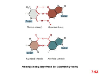 7-92
Klaidingas bazių poravimasis dėl tautomerinių virsmų
 