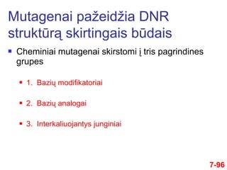  Cheminiai mutagenai skirstomi į tris pagrindines
grupes
 1. Bazių modifikatoriai
 2. Bazių analogai
 3. Interkaliuojantys junginiai
7-96
Mutagenai pažeidžia DNR
struktūrą skirtingais būdais
 