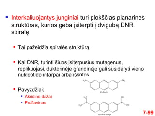  Interkaliuojantys junginiai turi plokščias planarines
struktūras, kurios geba įsiterpti į dvigubą DNR
spiralę
 Tai pažeidžia spiralės struktūrą
 Kai DNR, turinti šiuos įsiterpusius mutagenus,
replikuojasi, dukterinėje grandinėje gali susidaryti vieno
nukleotido intarpai arba iškritos
 Pavyzdžiai:

Akridino dažai

Proflavinas
7-99
 