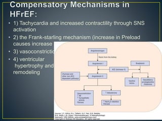 • 1) Tachycardia and increased contractility through SNS
activation
• 2) the Frank-starling mechanism (increase in Preload
causes increase in SV)
• 3) vasoconstriction
• 4) ventricular
hypertrophy and
remodeling
 