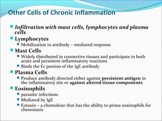 Other Cells of Chronic Inflammation
Infiltration with mast cells, lymphocytes and plasma
 cells
Lymphocytes
   Mobilization in antibody – mediated response
Mast Cells
   Widely distributed in connective tissues and participate in both
    acute and persistent inflammatory reactions
   Binds the Fc portion of the IgE antibody
Plasma Cells
   Produce antibody directed either against persistent antigen in
    the inflammatory site or against altered tissue components
Eosinophils
   parasitic infections
   Mediated by IgE
   Eotaxin – a chemokine that has the ability to prime eosinophils for
    chemotaxis
 