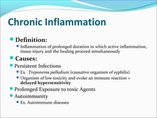 Chronic Inflammation
Definition:
   Inflammation of prolonged duration in which active inflammation,
    tissue injury and the healing proceed simultaneously
Causes:
Persistent Infections
   Ex. Treponema palladium (causative organism of syphilis)
   Organism of low toxicity and evoke an immune reaction =
    delayed hypersensitivity
Prolonged Exposure to toxic Agents
Autoimmunity
   Ex. Autoimmune diseases
 