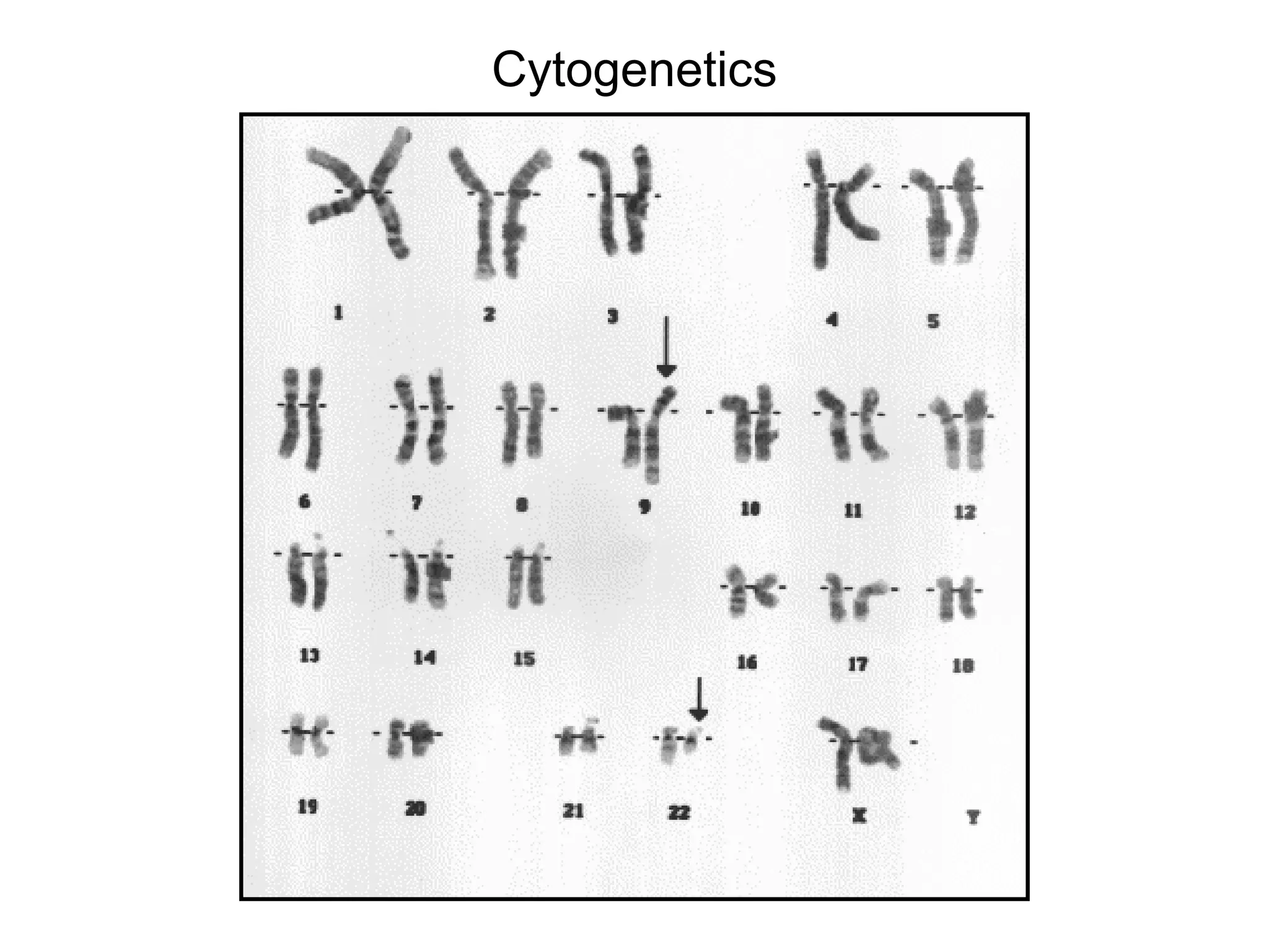 Cytogenetics
 