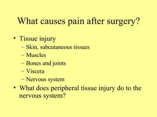 What causes pain after surgery? Tissue injury Skin, subcutaneous tissues Muscles Bones and joints Viscera Nervous system What does peripheral tissue injury do to the nervous system? 