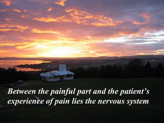 Between the painful part and the patient’s  experience of pain lies the nervous system 