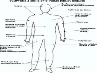 Prepared by D. Chaplin
 