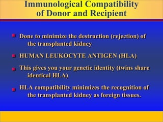 Prepared by D. Chaplin
Immunological Compatibility
of Donor and Recipient
Done to minimize the destruction (rejection) of
the transplanted kidney
HUMAN LEUKOCYTE ANTIGEN (HLA)
This gives you your genetic identity (twins share
identical HLA)
HLA compatibility minimizes the recognition of
the transplanted kidney as foreign tissues.
 