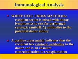 Prepared by D. Chaplin
Immunological Analysis
WHITE CELL CROSS MATCH (the
recipient serum is mixed with donor
lymphocytes to test for performed
cytotoxic (anti-HLA) antibodies to the
potential donor kidney
A positive cross match indicates that the
recipient has cytotoxic antibodies to the
donor and is an absolute
contraindication to transplantation
 