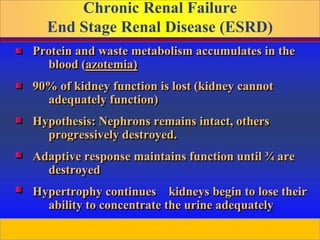 Prepared by D. Chaplin
Chronic Renal Failure
End Stage Renal Disease (ESRD)
Protein and waste metabolism accumulates in the
blood (azotemia)
90% of kidney function is lost (kidney cannot
adequately function)
Hypothesis: Nephrons remains intact, others
progressively destroyed.
Adaptive response maintains function until ¾ are
destroyed
Hypertrophy continues kidneys begin to lose their
ability to concentrate the urine adequately
 