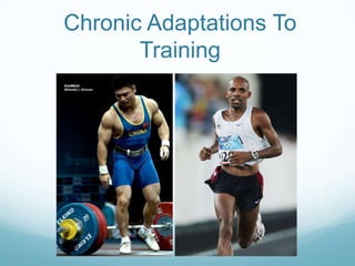 Chronic Adaptations To
       Training
 