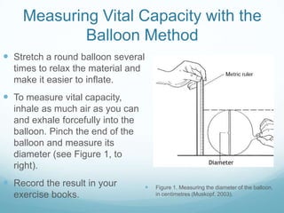 Measuring Vital Capacity with the
            Balloon Method
 Stretch a round balloon several
  times to relax the material and
  make it easier to inflate.
 To measure vital capacity,
  inhale as much air as you can
  and exhale forcefully into the
  balloon. Pinch the end of the
  balloon and measure its
  diameter (see Figure 1, to
  right).
 Record the result in your            Figure 1. Measuring the diameter of the balloon,
  exercise books.                       in centimetres (Muskopf, 2003).
 