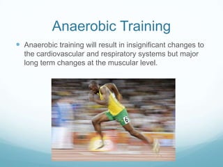 Anaerobic Training
 Anaerobic training will result in insignificant changes to
  the cardiovascular and respiratory systems but major
  long term changes at the muscular level.
 