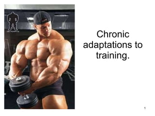 Chronic adaptations to training. 