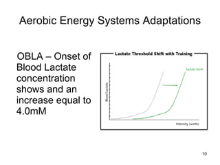 Aerobic Energy Systems Adaptations OBLA – Onset of Blood Lactate concentration shows and an increase equal to 4.0mM 