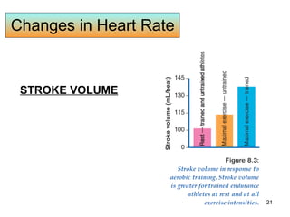Changes in Heart Rate STROKE VOLUME 