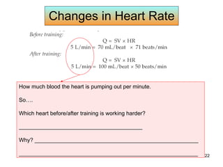 Changes in Heart Rate How much blood the heart is pumping out per minute.  So…. Which heart before/after training is working harder?  ________________________________________ Why? _____________________________________________________ __________________________________________________________ 