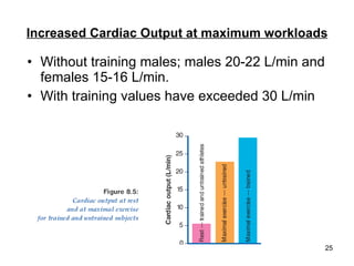 Increased Cardiac Output at maximum workloads Without training males; males 20-22 L/min and females 15-16 L/min. With training values have exceeded 30 L/min 