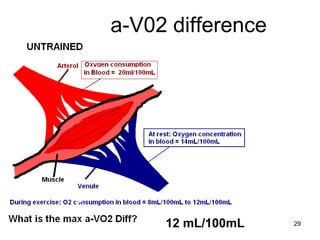 a-V02 difference 12 mL/100mL 