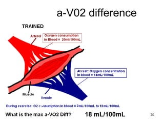 a-V02 difference 18 mL/100mL 