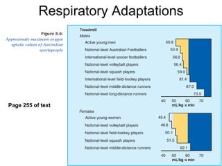 Respiratory Adaptations Page 255 of text 