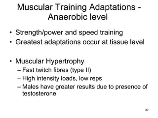 Muscular Training Adaptations - Anaerobic level  Strength/power and speed training Greatest adaptations occur at tissue level Muscular Hypertrophy Fast twitch fibres (type II) High intensity loads, low reps Males have greater results due to presence of testosterone  