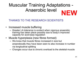 Muscular Training Adaptations - Anaerobic level THANKS TO THE RESEARCH SCIENTISTS Increased muscle buffering Greater LA tolerance is evident when vigorous anaerobic training has taken place possibly due to body’s improved capacity for acid-base regulation Muscle hyperplasia (new fibres formed) We knew that muscle fibres increased in size but anaerobically they have been seen to also increase in number via longitudinal splitting Changes occur due to chronic overload to the skeletal muscle NEW 