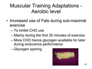 Muscular Training Adaptations - Aerobic level Increased use of Fats during sub-maximal exercise To inhibit CHO use Mainly during the first 30 minutes of exercise More CHO hence glycogen available for later during endurance performance Glycogen sparing  