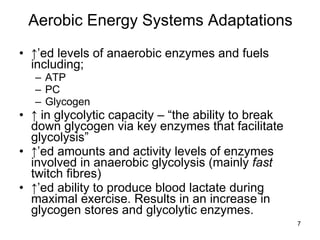 Aerobic Energy Systems Adaptations ↑’ ed levels of anaerobic enzymes and fuels including; ATP PC Glycogen ↑  in glycolytic capacity – “the ability to break down glycogen via key enzymes that facilitate  glycolysis” ↑’ ed amounts and activity levels of enzymes involved in anaerobic glycolysis (mainly  fast  twitch fibres) ↑’ ed ability to produce blood lactate during maximal exercise. Results in an increase in glycogen stores and glycolytic enzymes. 