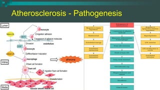 Chronic Arterial Diseases - Chronic Limb Ischemia | PDF