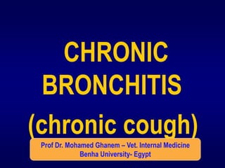 CHRONIC
BRONCHITIS
(chronic cough)
Prof Dr. Mohamed Ghanem – Vet. Internal Medicine
Benha University- Egypt
 