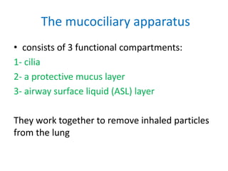 The mucociliary apparatus
• consists of 3 functional compartments:
1- cilia
2- a protective mucus layer
3- airway surface liquid (ASL) layer
They work together to remove inhaled particles
from the lung
 