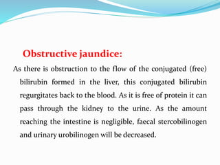 Obstructive jaundice:
As there is obstruction to the flow of the conjugated (free)
bilirubin formed in the liver, this conjugated bilirubin
regurgitates back to the blood. As it is free of protein it can
pass through the kidney to the urine. As the amount
reaching the intestine is negligible, faecal stercobilinogen
and urinary urobilinogen will be decreased.
 