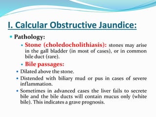 I. Calcular Obstructive Jaundice:
 Pathology:
 Stone (choledocholithiasis): stones may arise
in the gall bladder (in most of cases), or in common
bile duct (rare).
 Bile passages:
 Dilated above the stone.
 Distended with biliary mud or pus in cases of severe
inflammation.
 Sometimes in advanced cases the liver fails to secrete
bile and the bile ducts will contain mucus only (white
bile). This indicates a grave prognosis.
 