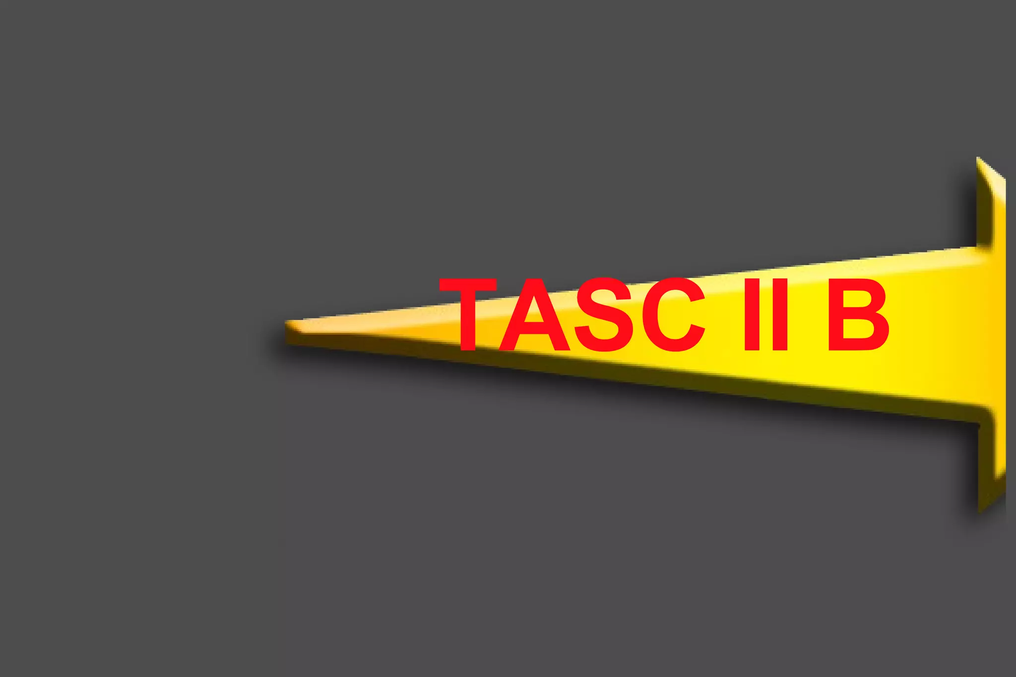 TASC II B
 