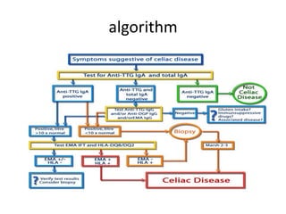 algorithm
 