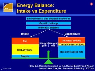 C
Energy Balance:
Intake vs Expenditure
 