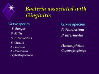 Bacteria associated with
Gingivitis
Gr+ve species
S. Sangus
S. Mitis
S. Intermedius
S. Oralis
A . Viscosus
A . Naeslundii
Peptostrepococcus
Gr-ve species
F. Nucleatum
P.intermedia
Haemophilus
Capnocytophaga
 