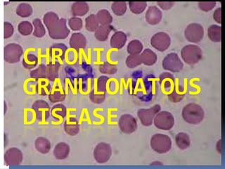 CHRONIC GRANULOMATOUS DISEASE 